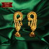 Stylish Gold Plated Shrimoyee Full Kaan (Copy)
