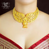 Aesthetic Gold Plated Anaya Choker with Earrings